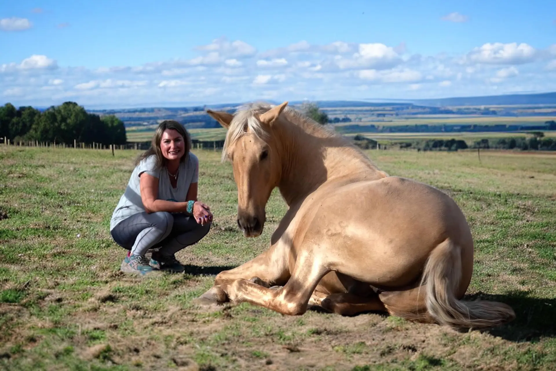 Fiji lying on pasture