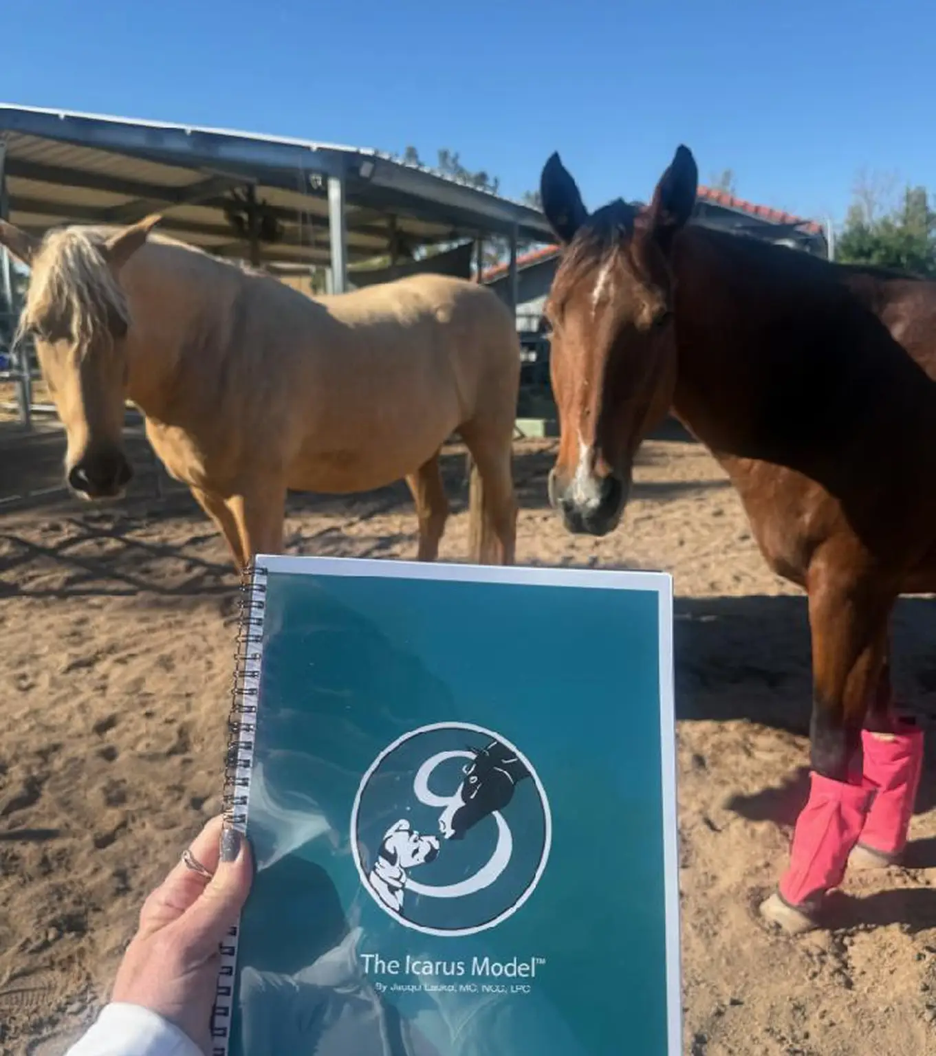 Two horses and Icarus Model booklet