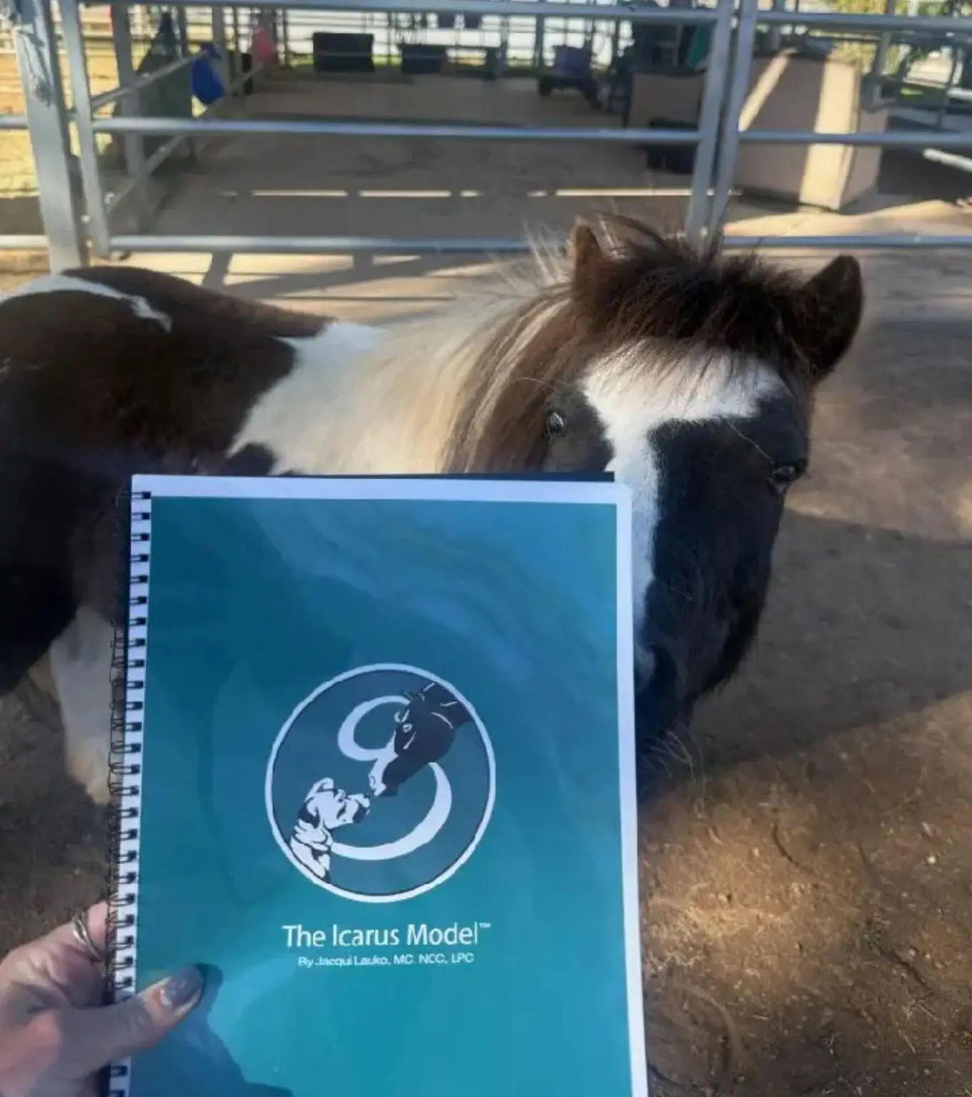 Miniature pony peeking behind spiral-bound book